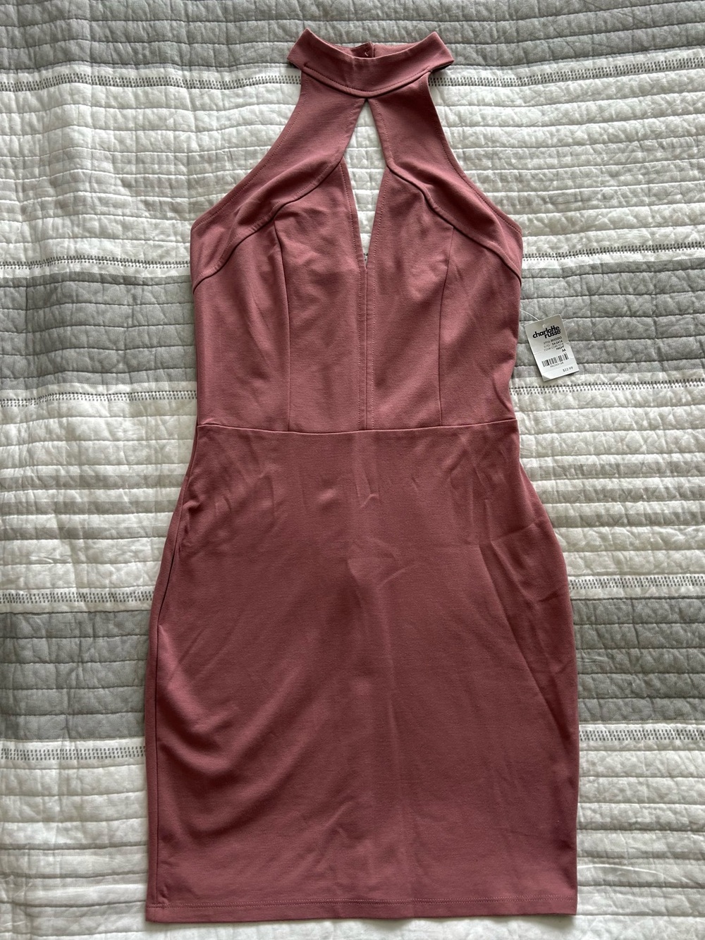 Charlotte Russe Dusty Rose Halter Bodycon Mini Dress